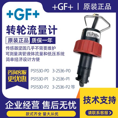 GF乔治费歇尔 涡轮叶轮转轮流量计传感器变送器P51530/3-2536-T0