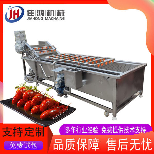 全自动胡萝卜等蔬菜水果清洗机 气泡清洗毛辊刷洗清洗线 佳鸿