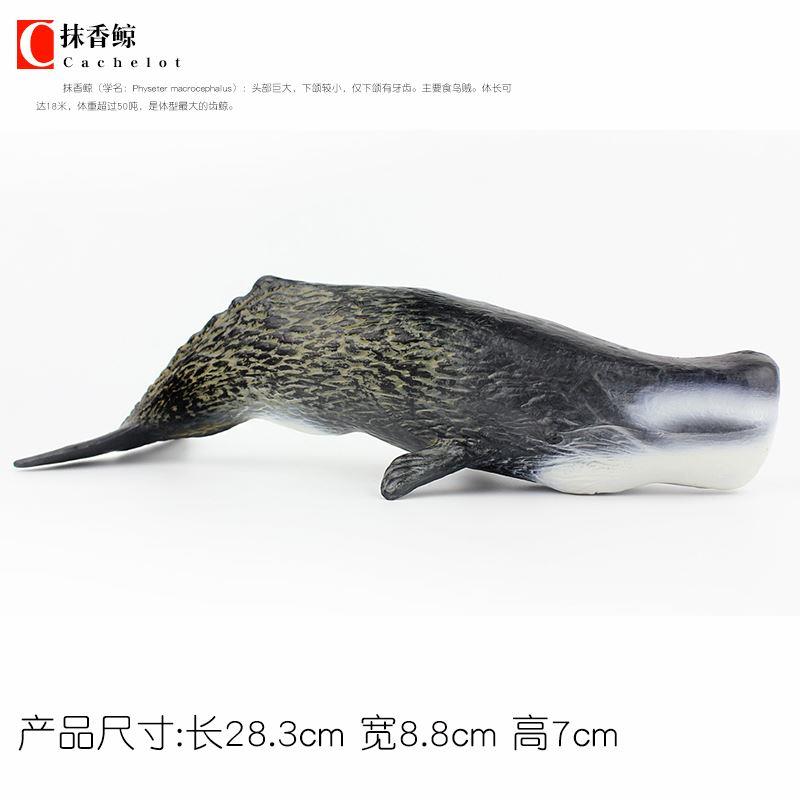 仿真海洋生物模型大号抹香鲸玩具鲸鱼实心海底世界儿童认知摆件