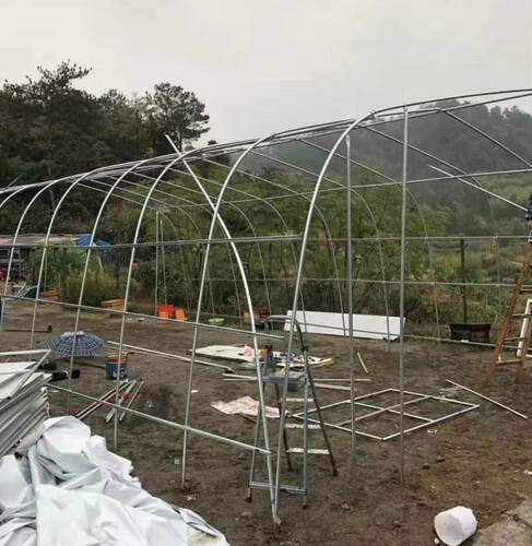 速发养牛农用保温菜园膜舍骨架钢管猪搭建专业大菜棚架蔬棚花卉隔