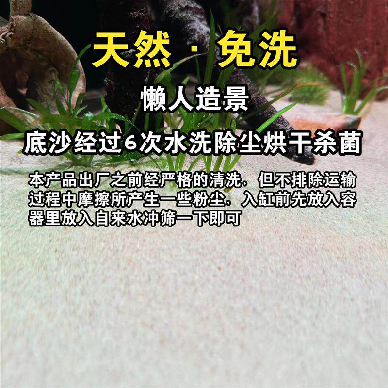 现货免洗尼罗河沙天m然沙南美雷龙埃及三湖鱼彩石配沙暖色沙鱼缸