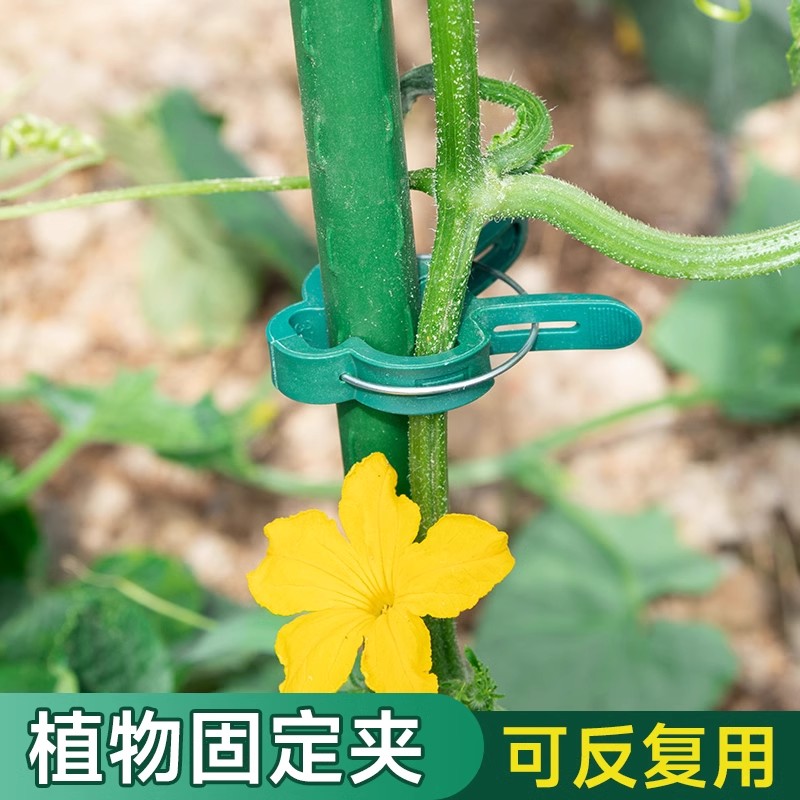 速发园林夹枝条固定夹蝴支兰西红柿辣椒植物夹工料蝶架夹子园艺塑