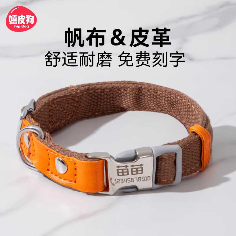速发项圈防丢失狗牌脖圈大毛中金型犬小型犬泰迪颈圈用品