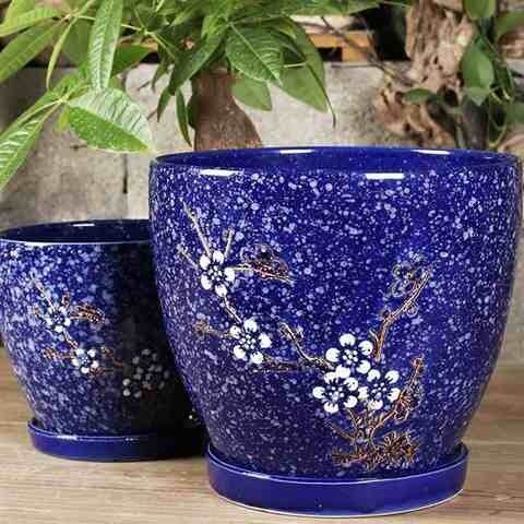 速发瓶品办公室内盆栽植物花卉多肉花盆大号陶瓷花新花盘带托盘