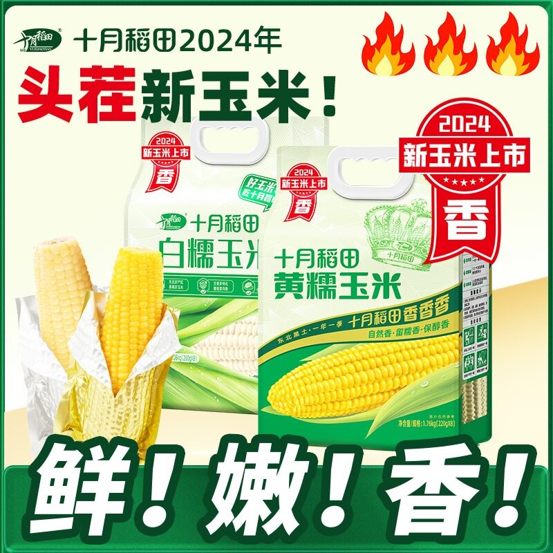 【24年头茬新玉米】十月稻田黄糯白糯黑糯玉米棒香甜糯东北黏苞米