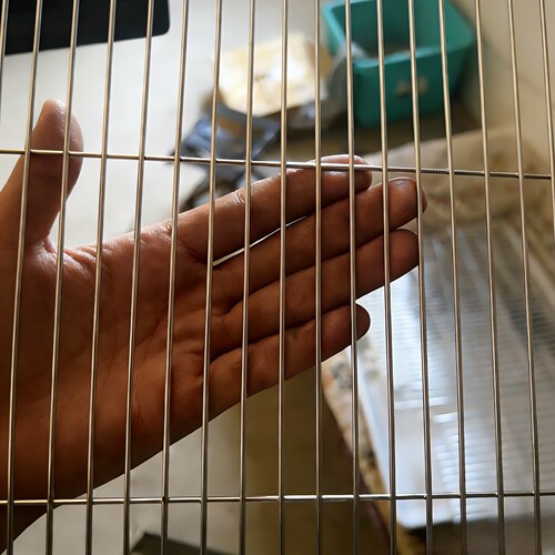 304不锈钢网格不锈钢鸟笼网片长条孔不锈钢焊接网加粗DIY鸟笼鸽笼