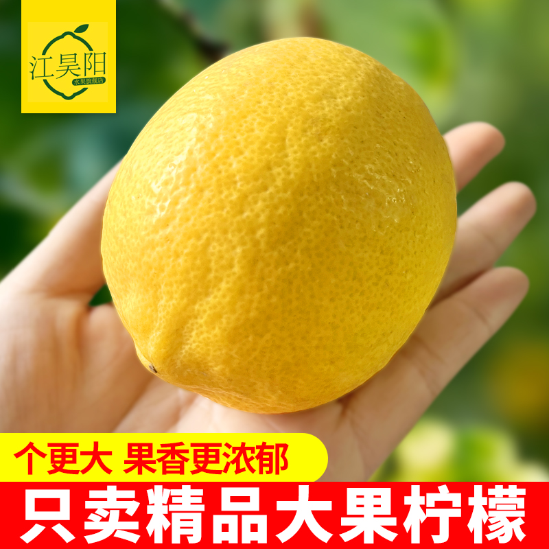 安岳新鲜大果黄柠檬10斤装
