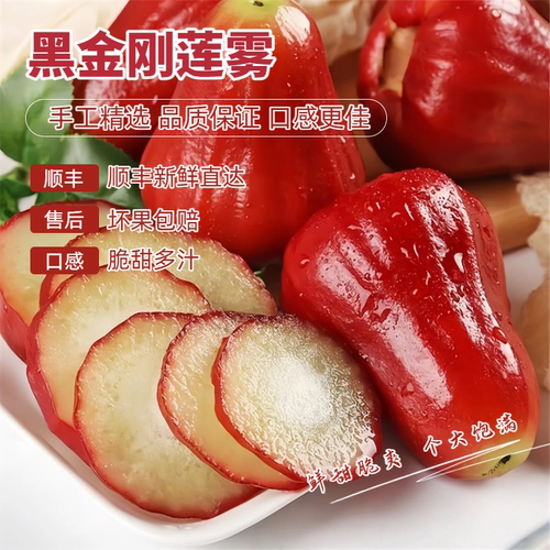 顺丰黑金刚莲雾泰国越南莲雾果热带水果新鲜当季脆甜孕妇水果