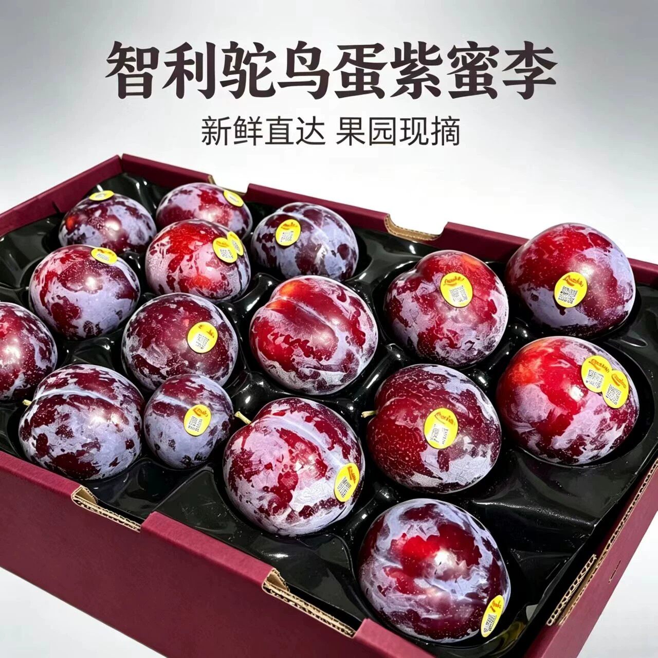 进口智利品种紫蜜李 恐龙蛋超脆甜凤凰李 血丝黄肉李子李现货包邮