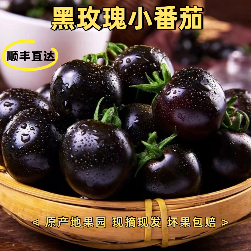 【顺丰】新鲜现摘黑玫瑰番茄黑珍珠小番茄即食圣女果花青素水果