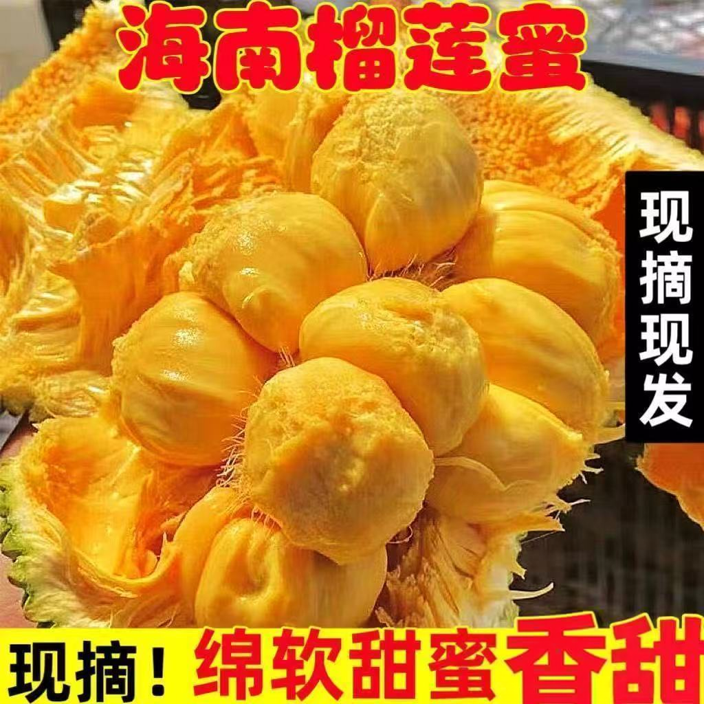 空运发货正宗海南黄肉榴莲蜜新鲜水果海红一号小个湿苞红心菠萝蜜