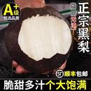 新鲜现摘乌黑梨大果5斤脆甜黑皮梨子非冻梨当季 包邮 水果 顺丰