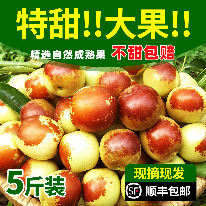 顺丰陕西大荔冬枣礼盒新鲜水果当季现摘特大脆甜红鲜枣子现货红枣