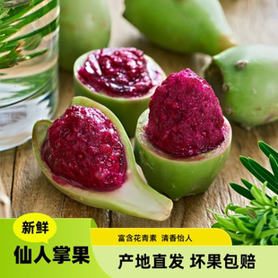 现摘海南仙人掌果鲜果实5斤大果新鲜仙桃应当季热带水果小火龙果