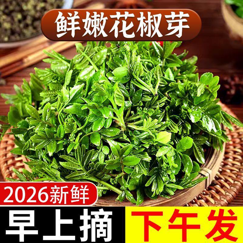 新鲜花椒芽2026当季新采食用现摘现发花椒嫩叶山西野菜炸花椒芽叶 - 实物图