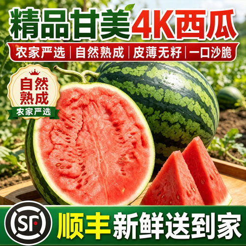 【顺丰】甘美4K西瓜盐城东台正宗新鲜水果农家清甜脆战神无籽整箱