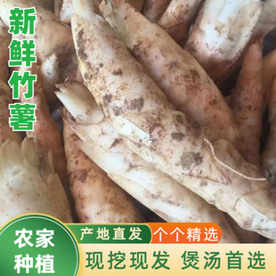 农家新鲜竹薯现挖无渣竹芋5斤当季冬粉薯凉粉薯根茎薯煲汤炒菜