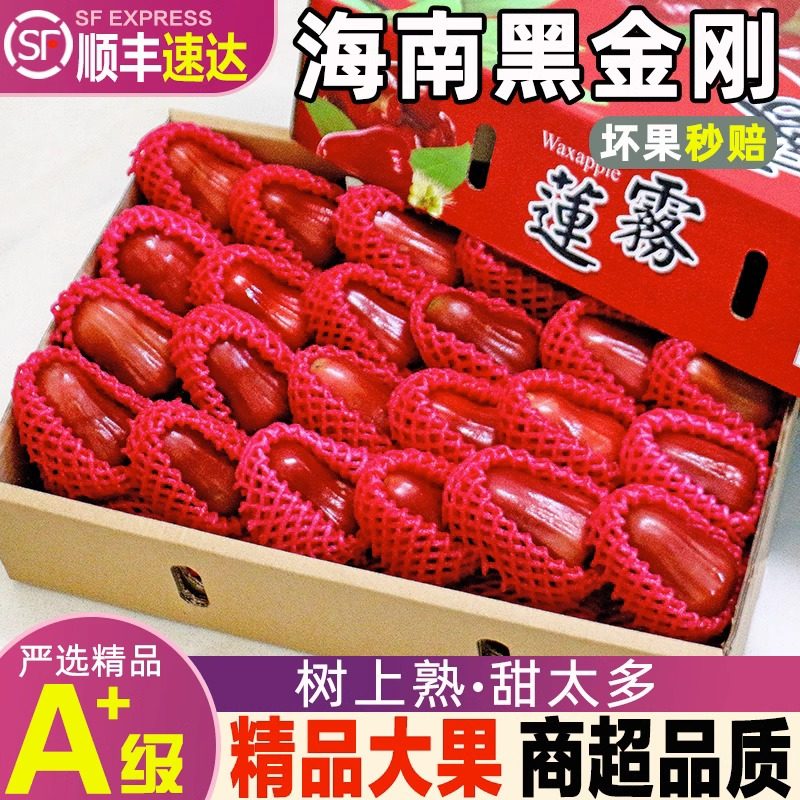 【现货】海南三亚黑金刚莲雾果3/5斤整箱包邮当季新鲜水果雾莲果,水产肉类/新鲜蔬果/熟食,莲雾,淘宝优惠券,粉丝福利购,淘宝优惠卷