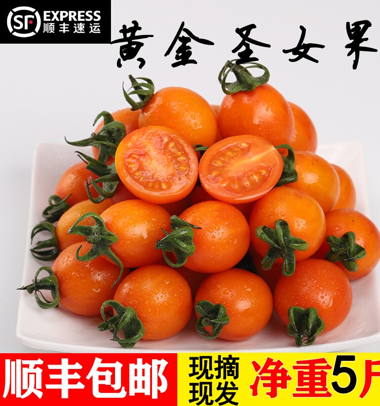 顺丰黄金千禧圣女果小番茄西红柿新鲜水果小番茄新鲜蔬菜5斤