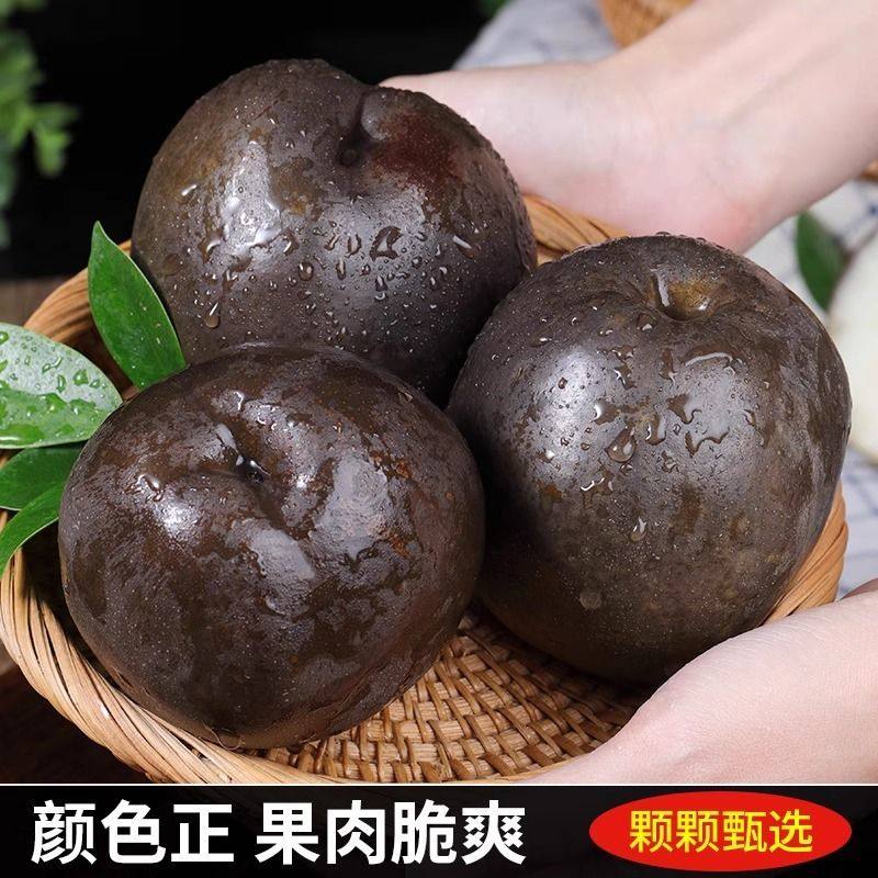 【顺丰】黑梨大果新鲜乌梨四川8斤脆甜黑皮梨子孕妇水果高山原