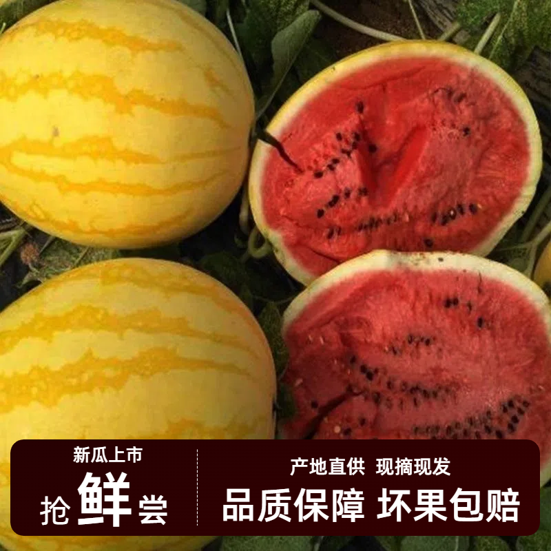 顺丰金皇后黄皮西瓜红瓤无籽黄心麒麟西瓜头茬新鲜水果甜脆金美人