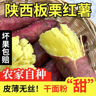 陕西临潼黄心板栗红薯爆皮王现挖新鲜黄心粉糯非桥头地瓜番薯山芋