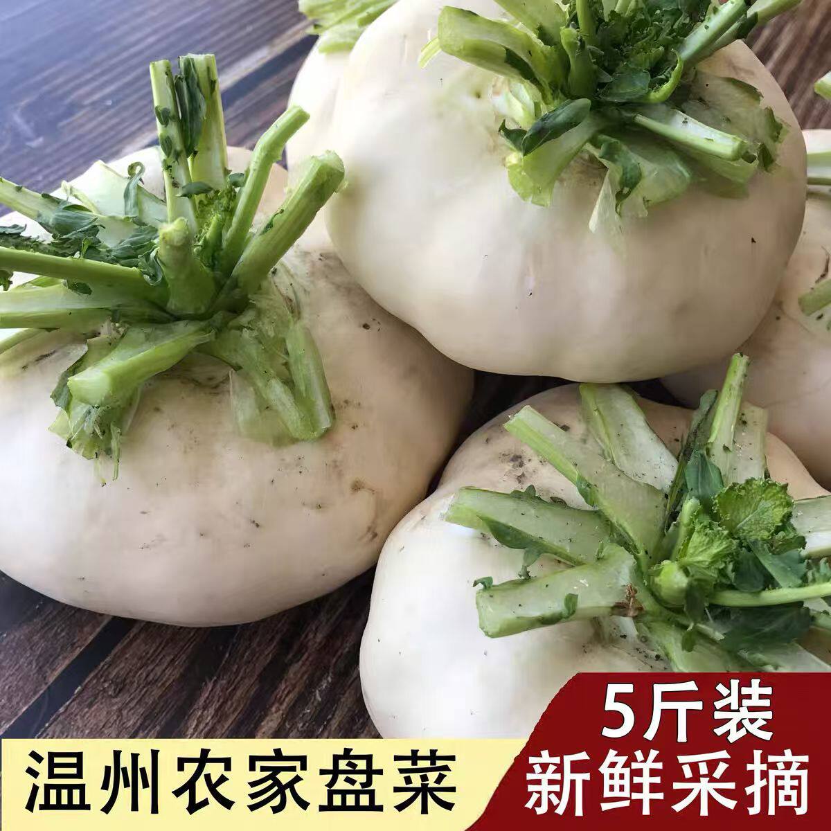 温州盘菜现摘农家新鲜盘菜头扁萝卜大头菜盘菜玉环干江特产爽口