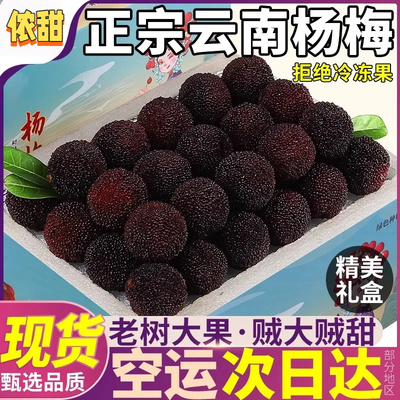 顺丰空运云南杨梅鲜果当季新鲜现摘现发非冷冻特大果整箱现货包邮