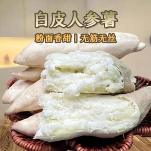正宗白皮人参薯新鲜粉面番薯5斤牛奶白心地瓜白瓤沙地板栗红薯