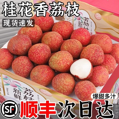 顺丰 桂花香荔枝新鲜水果海南当季现摘现发老树大果精品孕妇包邮