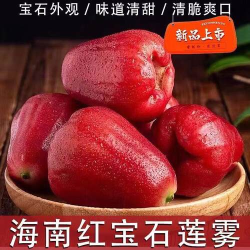 海南特产大叶红莲雾果宝宝水果