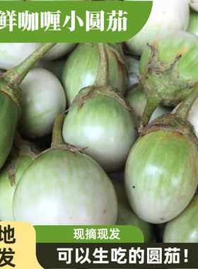 泰国品种圆茄沙拉小茄子