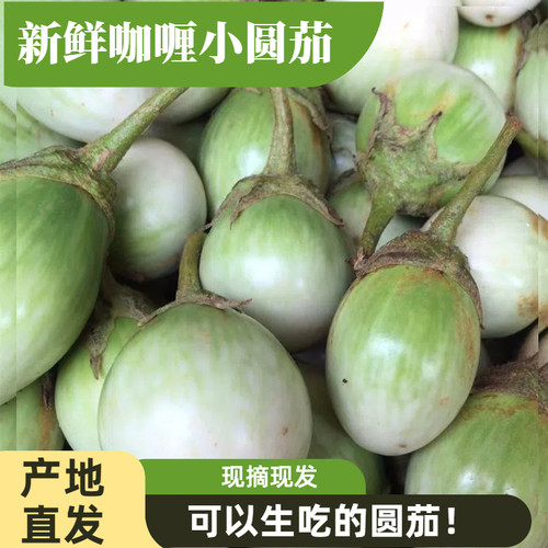 泰国品种圆茄沙拉小茄子
