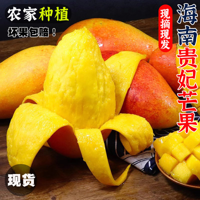 正宗海南贵妃芒10斤新鲜热带水果特产当季整箱树上熟现摘三亚芒果
