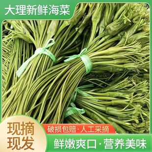 顺丰水性杨花云南特产海菜花泸沽湖丽江海菜云南野菜大理特产洱海