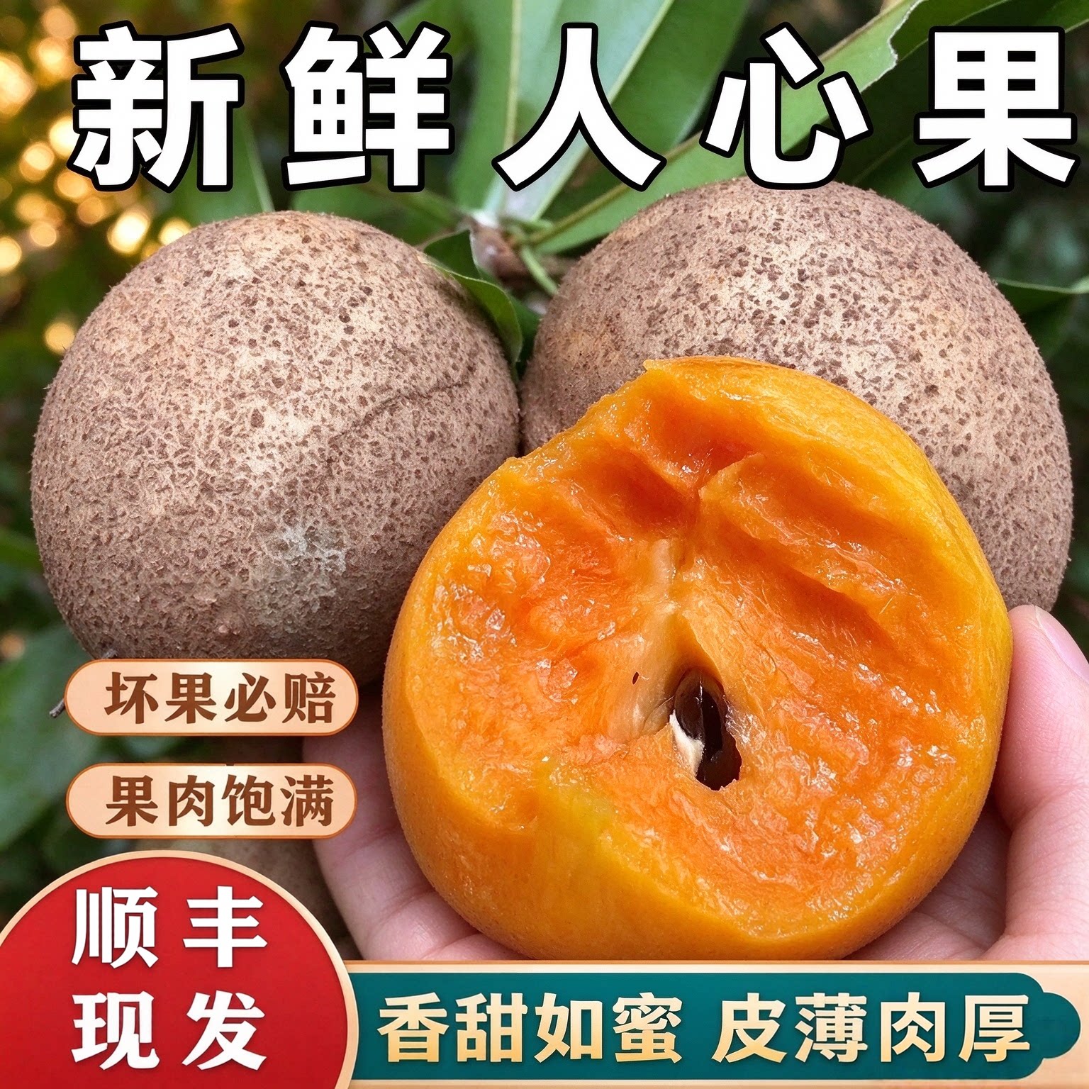 广西人心果新鲜当季水果整箱孕妇水果现摘稀罕见养生人参果包邮