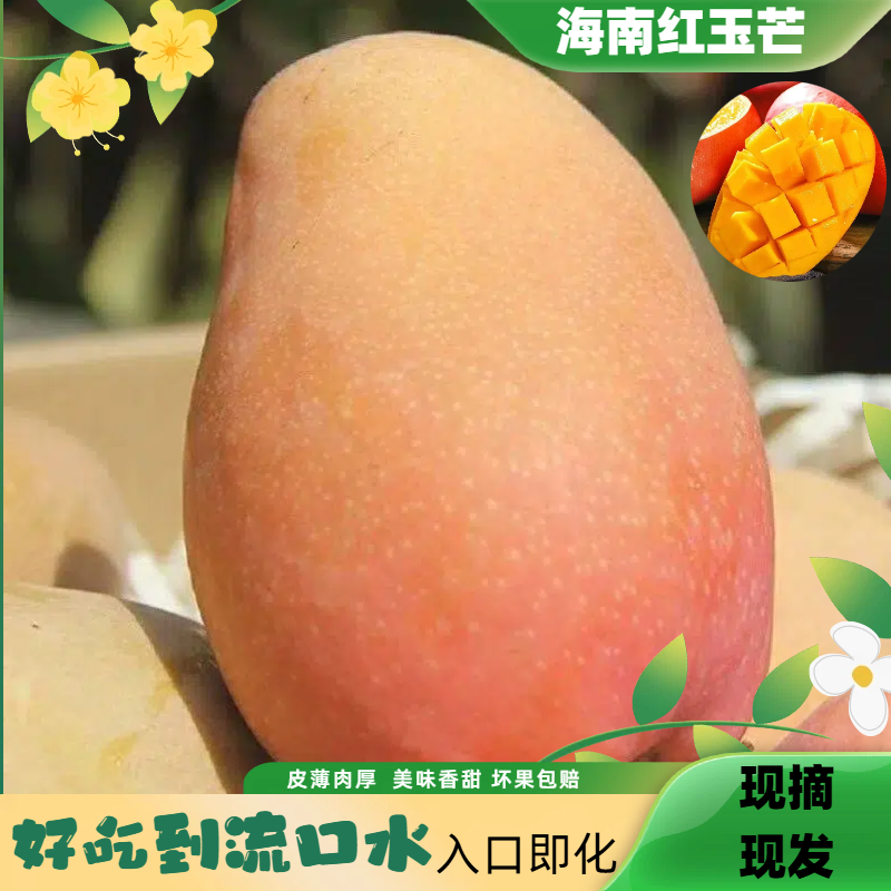 海南红玉芒果现摘玉文芒三亚特产超大芒果当季新鲜水果9斤包邮