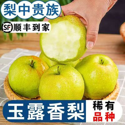 山西临汾隰县玉露香梨8斤新鲜