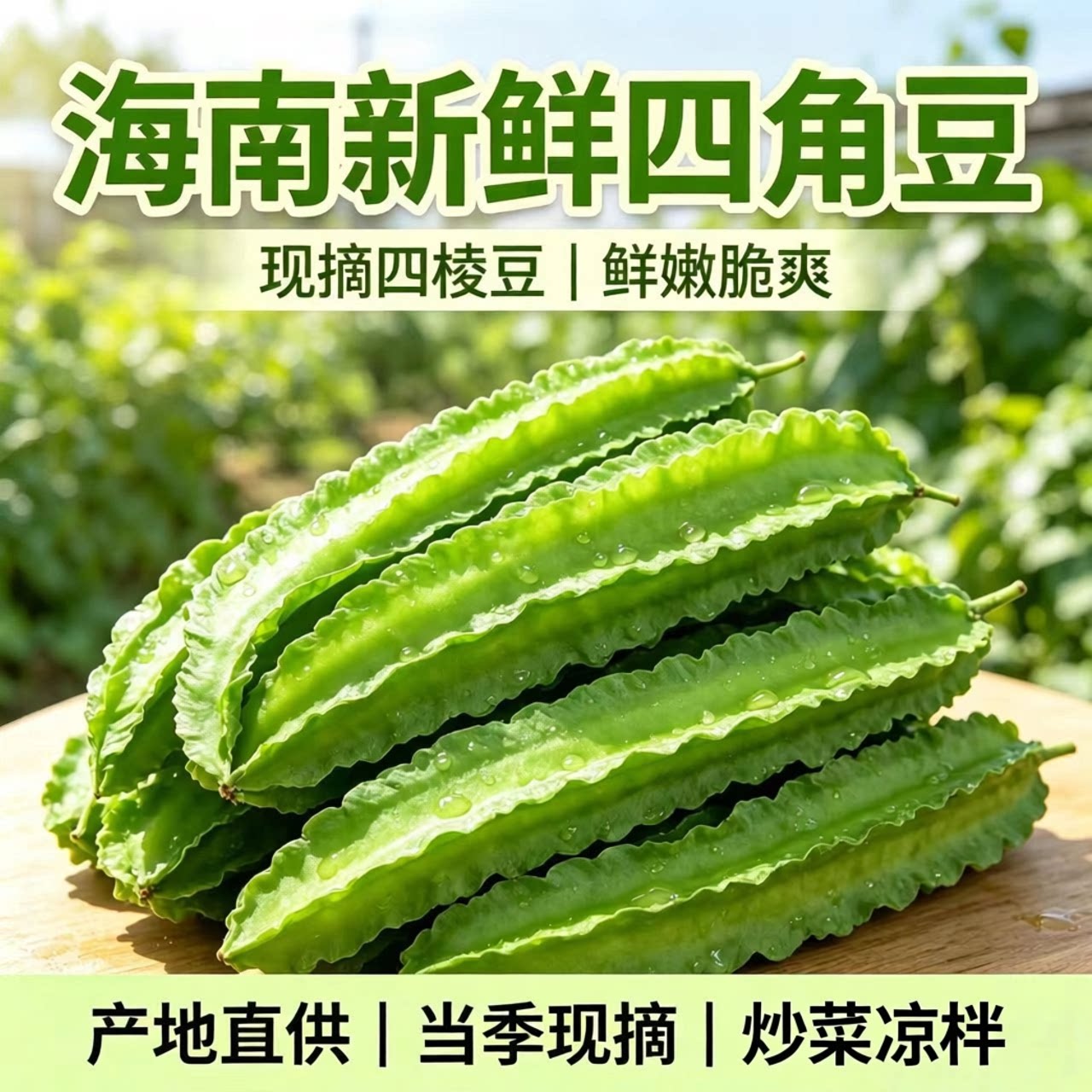 海南鲜嫩四角豆三亚绿色龙豆新鲜蔬菜四棱豆皇帝豆龙角豆季节包邮