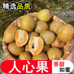 现摘新鲜海南人心果新鲜大果热带人参果当季特产高甜孕妇水果