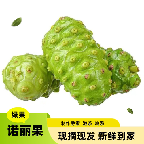 海南诺丽果旗舰店新鲜水果30斤现摘现发诺尼果做酵素煮水炖汤包邮