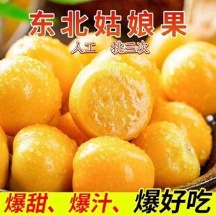 新鲜现摘东北姑娘果新鲜大果菇娘果当季水果黄灯笼果5斤姑鸟