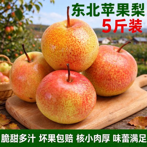 正宗延边 苹果梨东北特产精品新鲜水果延边霜后苹果梨脆甜梨整箱