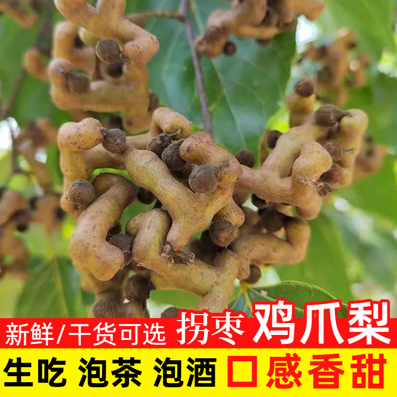 新鲜干拐枣现摘现发秦岭万寿果枳子鸡爪梨泡酒生吃新鲜 采摘 包邮