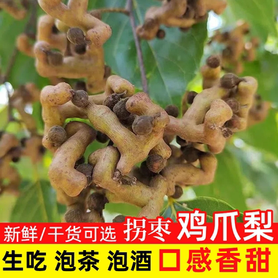 新鲜干拐枣现摘现发秦岭万寿果枳子鸡爪梨泡酒生吃新鲜 采摘 包邮