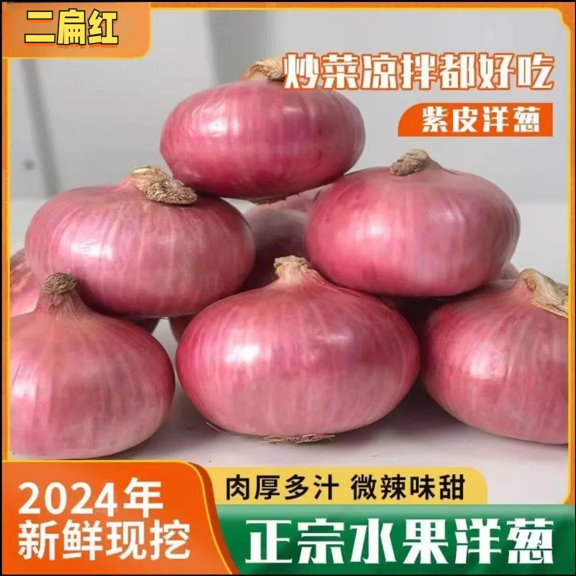 云南紫皮圆洋葱水果新鲜