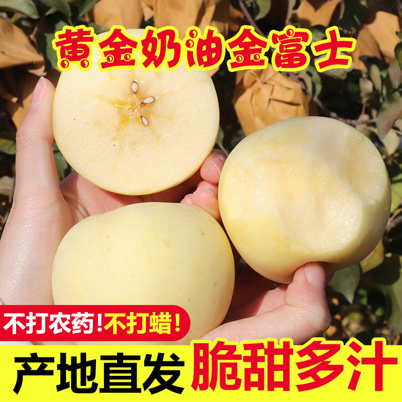 山东烟台黄金奶油富士苹果5斤