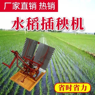 网红0款种年水c稻手动0植秧苗机插秧机新2插秧机机耕水稻手动水稻