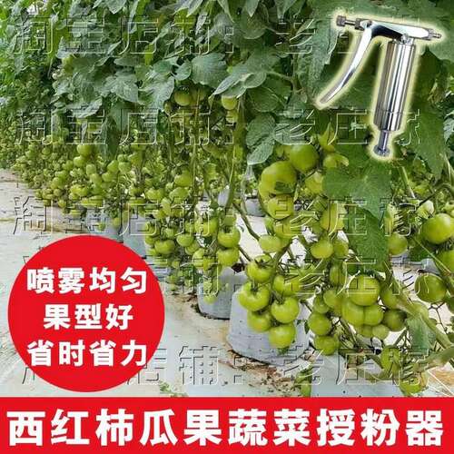 好货实用喷枪授粉神器蔬菜点花器西红柿葡萄器大棚喷花点花器西瓜