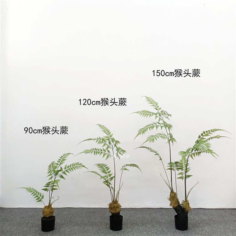 仿真猴头蕨金丝蕨禅意蕨绿植办公室客厅落地盆栽玄关装饰摆件